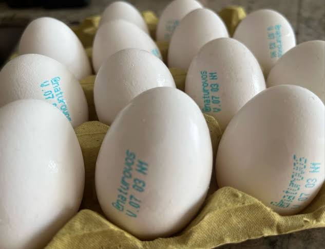 A partir de março, os ovos terão um carimbo na casca indicando a data de validade.