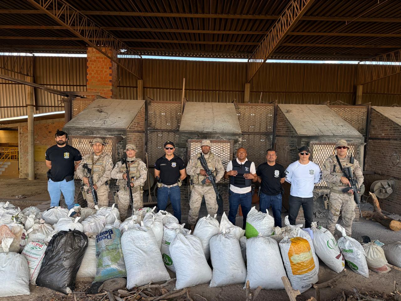 Mais de 740KG de Maconha apreendida na zona rural de Dormentes foi incinerada nesta quarta-feira.