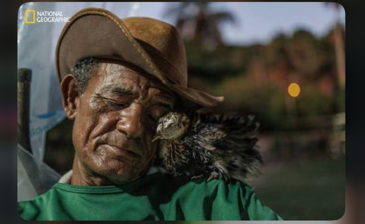 Fotografia brasileira é eleita pela National Geographic como uma uma das melhores do ano.