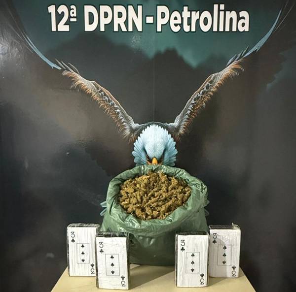 Policia prende homem em flagrante com 7,2 kg de “flor chilena” e 4,2 kg de cocaína em Petrolina.