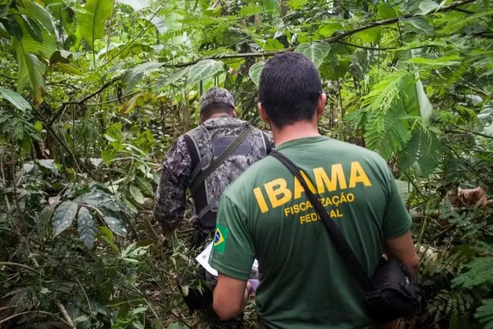 Ibama alerta sobre golpe do falso concurso; entenda.