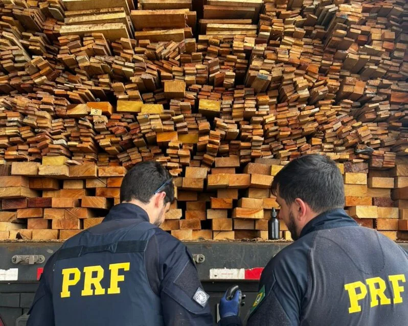 PRF apreende 337 m³ de madeira ilegal durante operação no Sertão de Pernambuco.