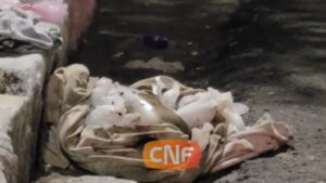 Feto é encontrado em meio a lixo em Caruaru