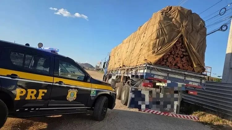 PRF apreende quase 300 M² de madeira ilegal durante operação ambiental em Pernambuco