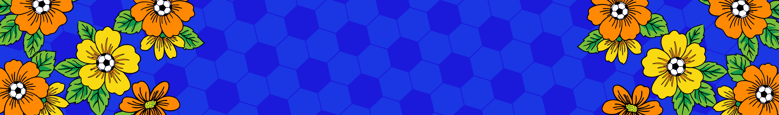BANNER_2560x380PXL petrolina