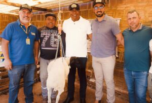 Com mais de 40 animais, pesagem da 2ª edição do campeonato Cordeiro do Valle tem início em Afrânio