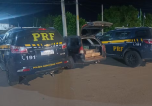 Cerca de 250 aves silvestres são resgatadas em fiscalização da PRF na BR-116 em Parnamirim
