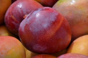 Tarifa adicional dos EUA sobre produtos brasileiros será debatida na Expo Manga 2026