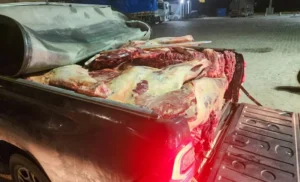 PRF apreende 800 kg de carne bovina sem refrigeração em Garanhuns (PE)