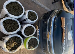 Nova ação da Polícia militar resulta na apreensão de mais de 53 kg de maconha e arma na zona rural de Dormentes