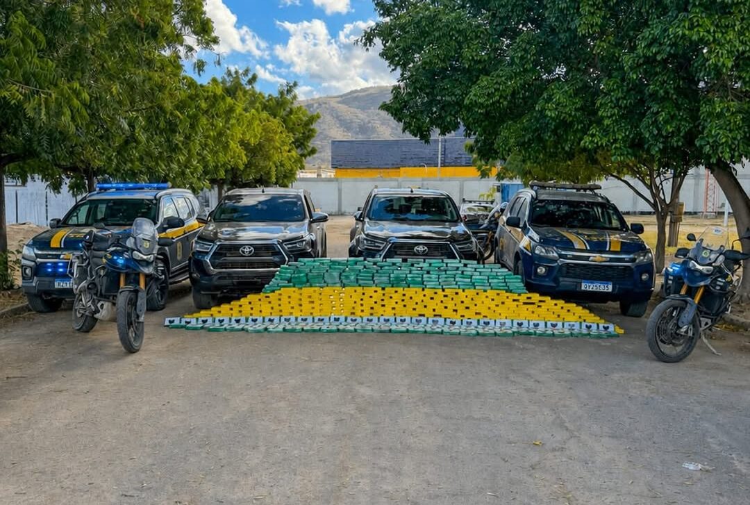 PRF apreende quase meia tonelada de cocaína e pasta base em Pernambuco