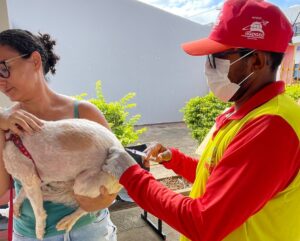 Campanha antirrábica 2026: Dormentes intensifica vacinação de cães e gatos a partir do dia 09 de Setembro