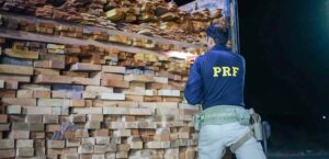 PRF conclui operação contra crimes ambientais e Salgueiro foi um dos alvos