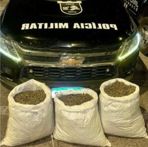 20,8 kg de maconha são apreendidos em casa abandonada em povoado de Afrânio